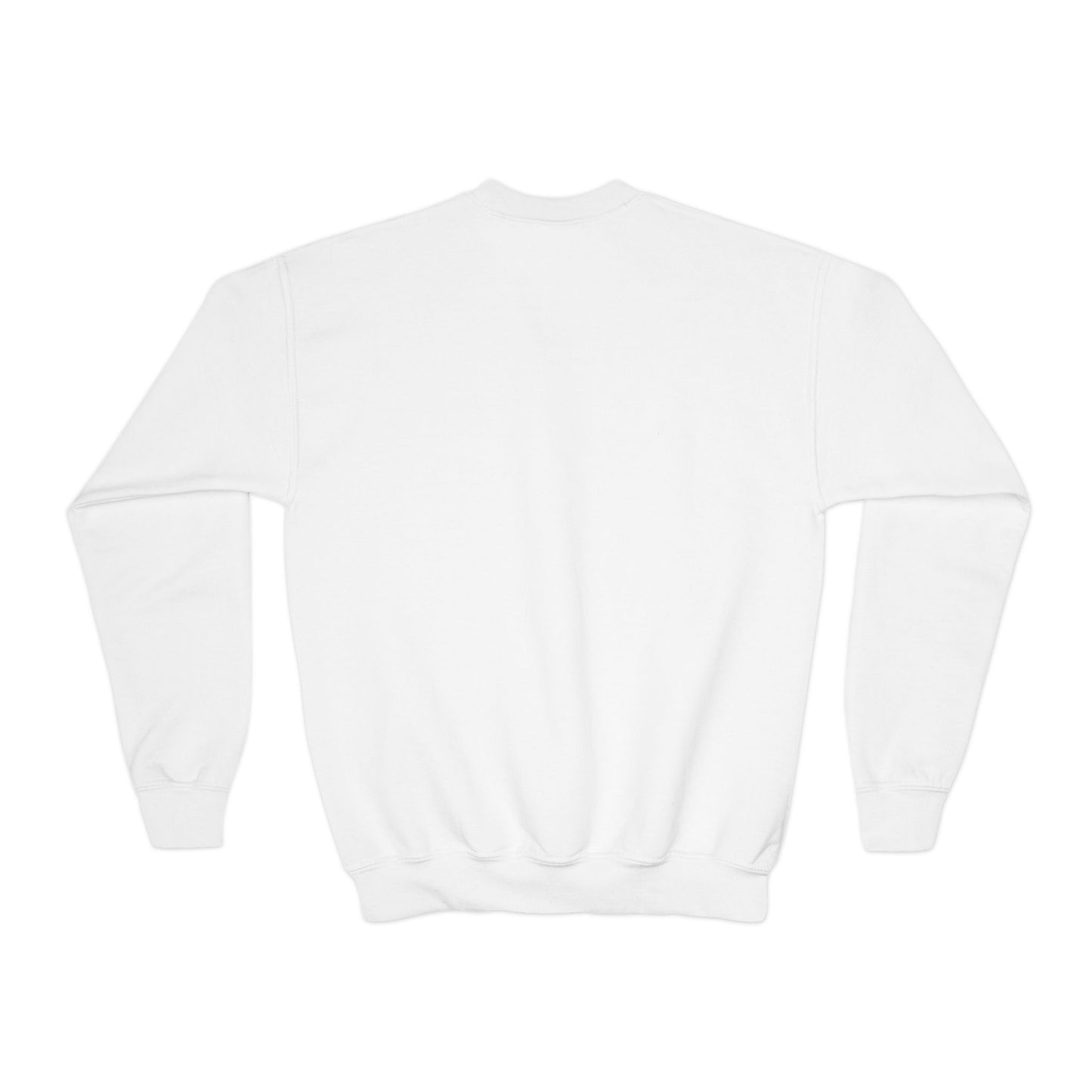 Youth Crewneck Sweatshirt, Pirate Aye Aye Theme Sweatshirt, Animal Lover Gift
