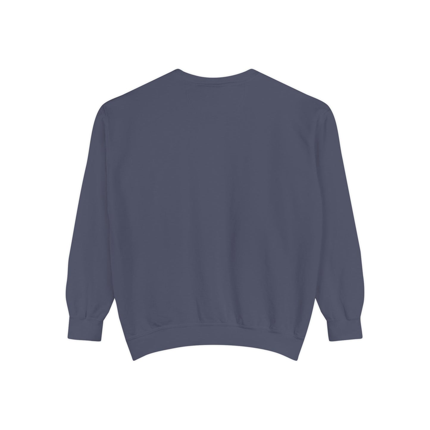 Unisex Garment-Dyed Song Lyric Sweatshirt, Gift for Music Lover, No Sunshine