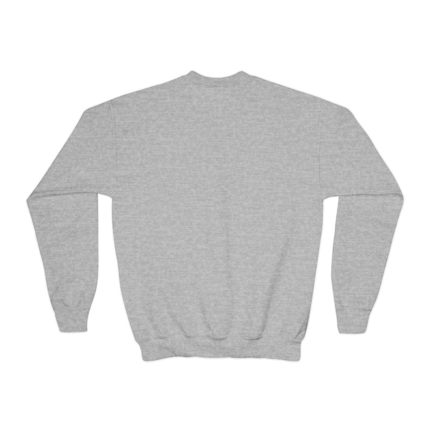Youth Crewneck Sweatshirt, Pirate Aye Aye Theme Sweatshirt, Animal Lover Gift