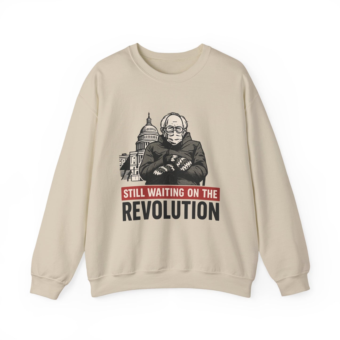 Bernie Sanders Sweatshirt | Protest Apparel, Gift for Activists, Cozy Crewneck, Unisex Fashion, Political Humor