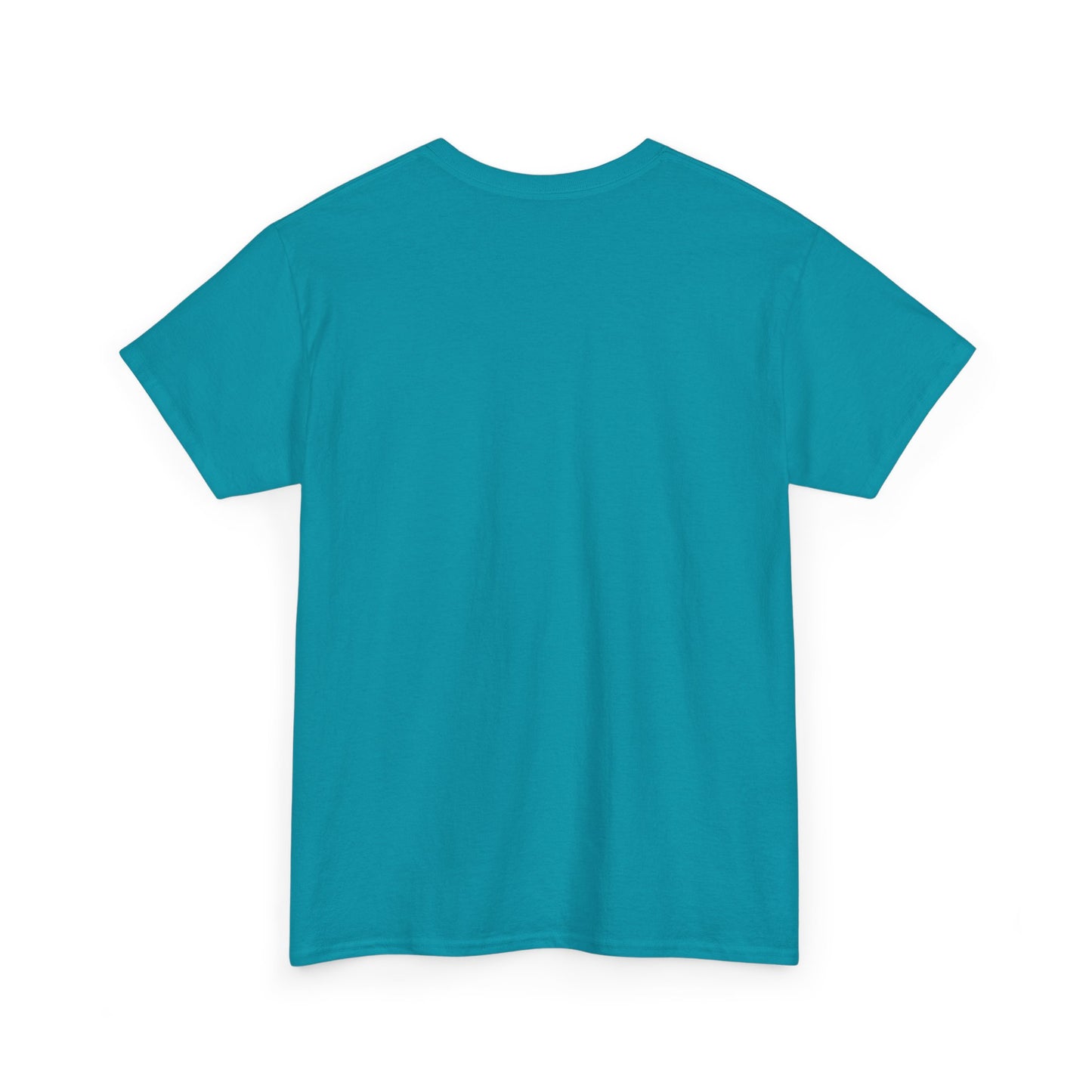 Retro Music Vibe Tee, No One Sings Like You Anymore: Unisex Garment-Dyed Heavyweight Music Lover T-Shirt