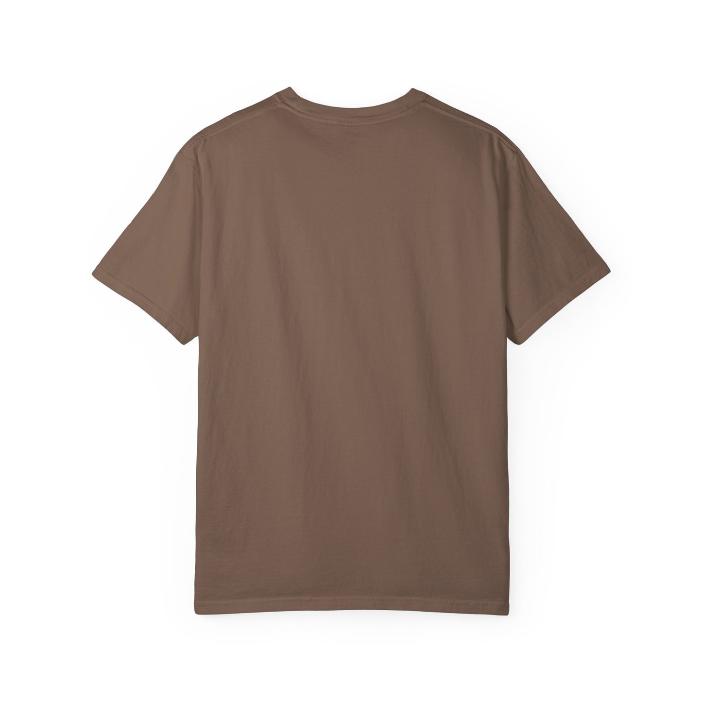 RBT BCBA Comfort Colors T-Shirt with 'All About the Baseline' Design - Casual Wear, Gift for ABA Therapist