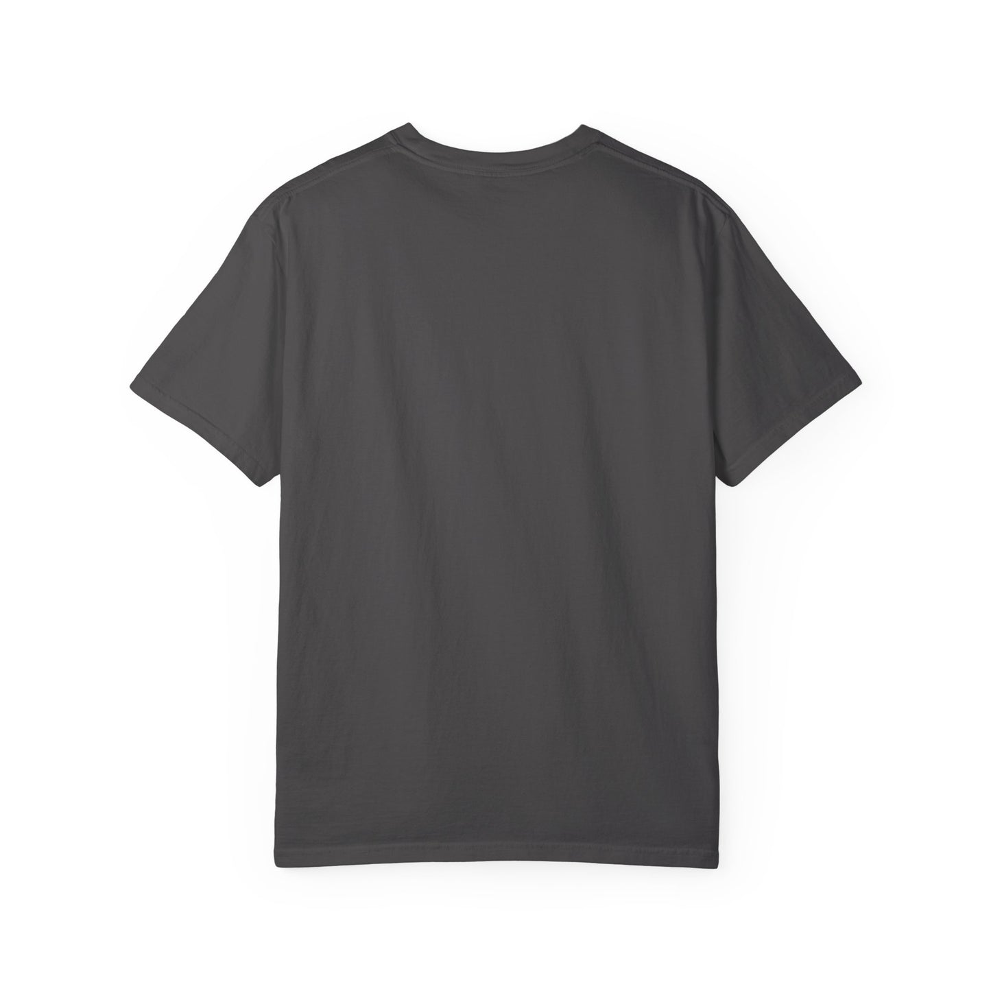 RBT BCBA Comfort Colors T-Shirt with 'All About the Baseline' Design - Casual Wear, Gift for ABA Therapist