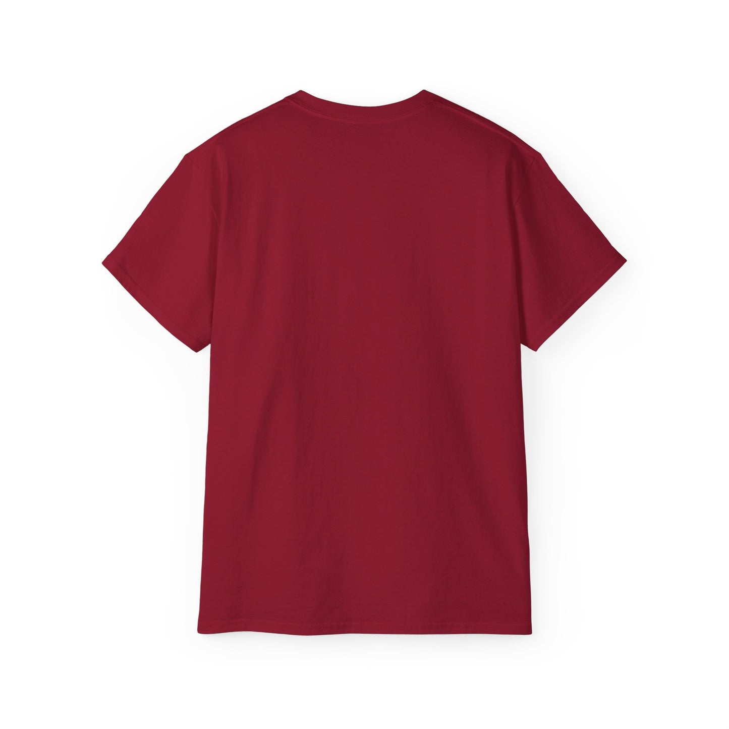 Dreamcatcher Unisex T-Shirt, Boho Style Tee, BCBA, RBT, ABA Apparel Shirt