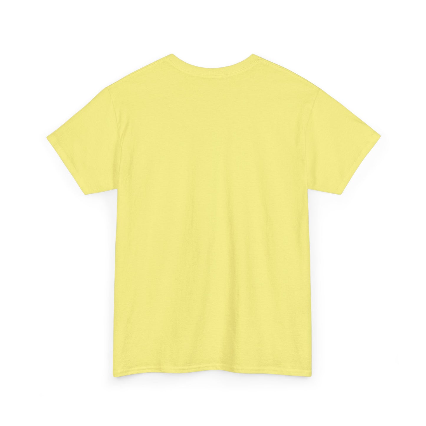 RBT Heavy Cotton Tee, Funny ABA T-Shirt, Gift for RBT or BCBA