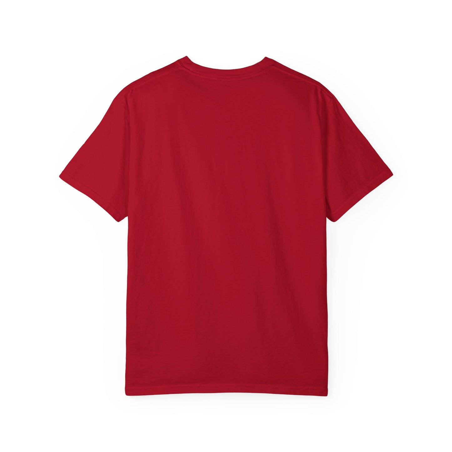 RBT BCBA Comfort Colors T-Shirt with 'All About the Baseline' Design - Casual Wear, Gift for ABA Therapist