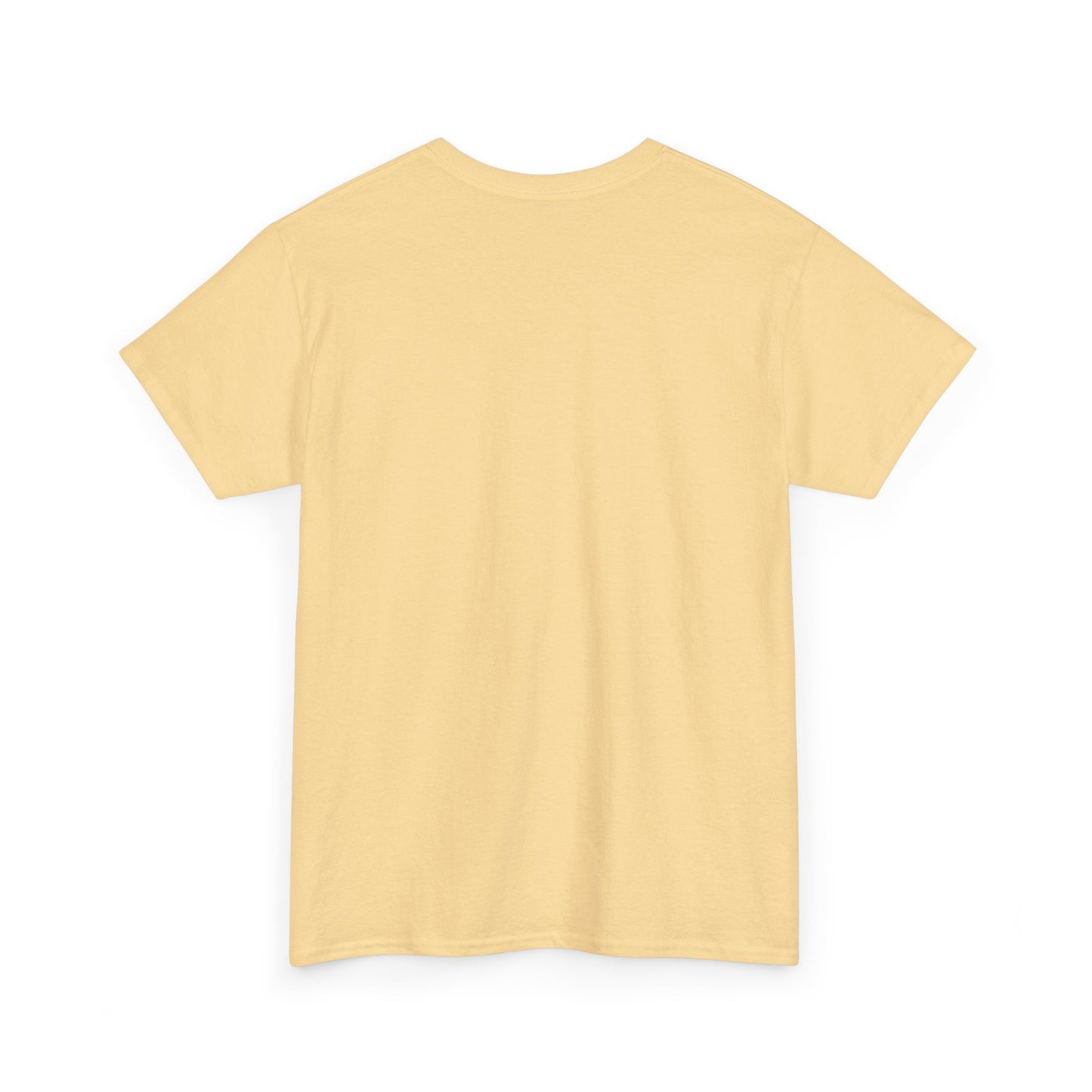 RBT Heavy Cotton Tee, Funny ABA T-Shirt, Gift for RBT or BCBA