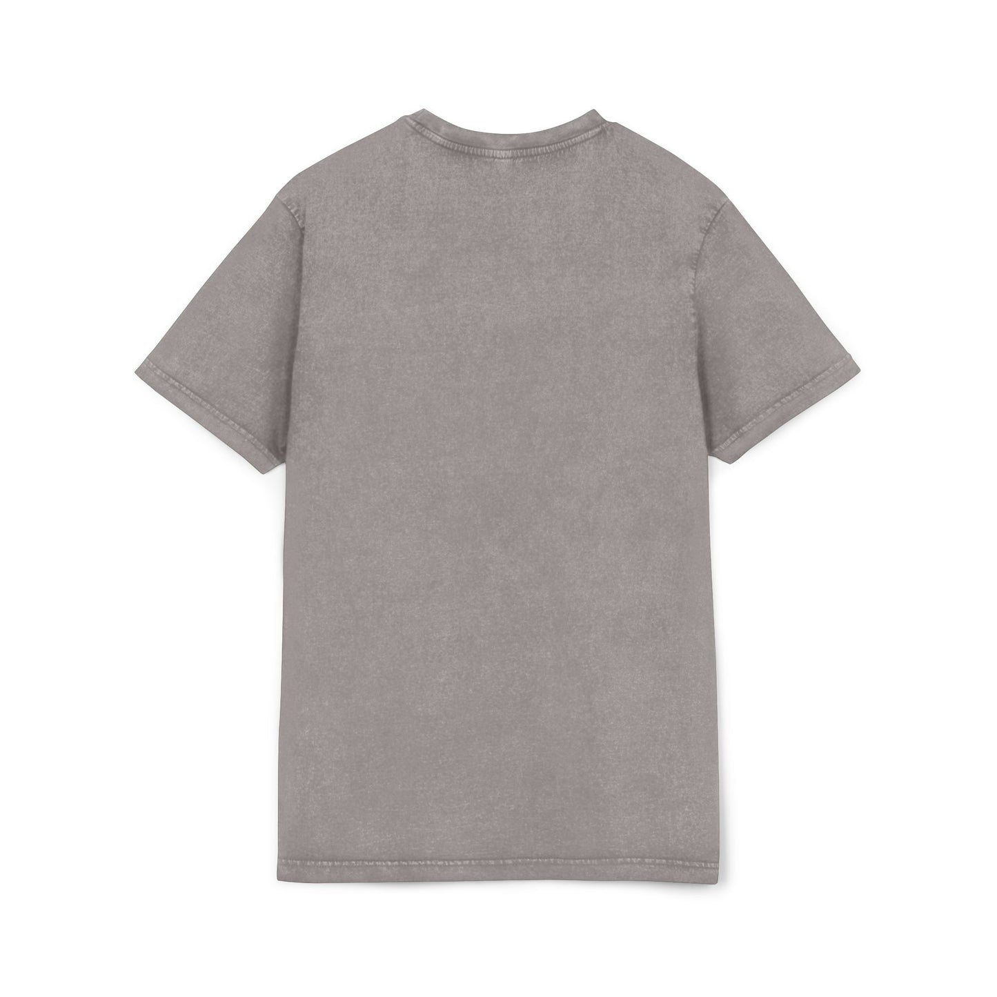 Capybara World Tour Acid Washed Tee | Vintage Style T-Shirt, Music Festival Wear, Animal Lovers Gift, Casual Everyday Top, Graphic Tee