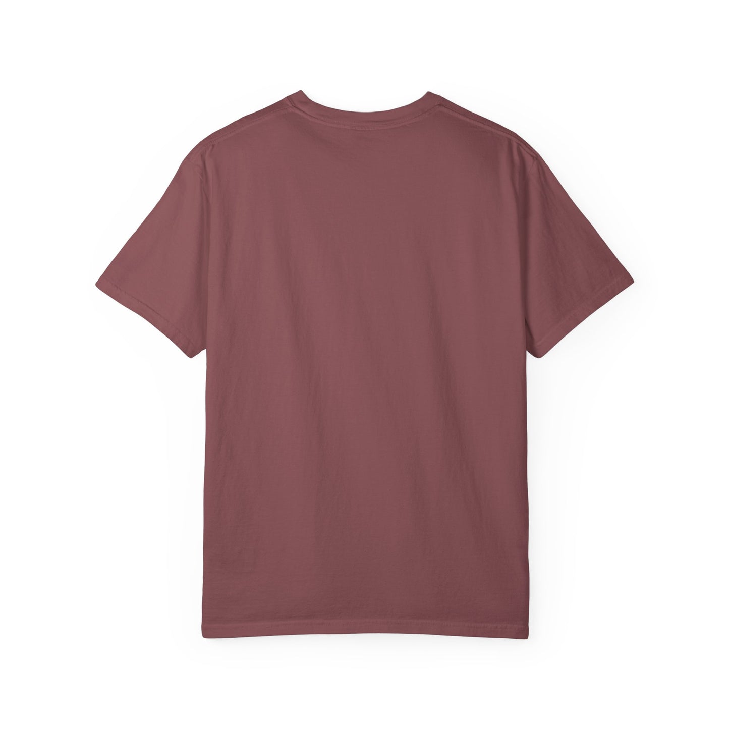 RBT BCBA Comfort Colors T-Shirt with 'All About the Baseline' Design - Casual Wear, Gift for ABA Therapist
