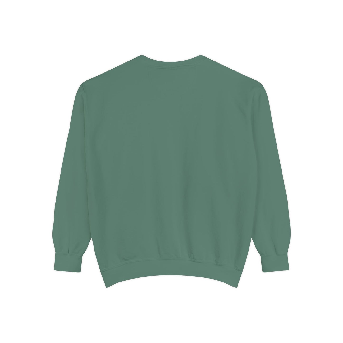 Funny Autism Awarenes Comfort Colors Sweatshirt | Acetaminophen Does Not Cause Autism