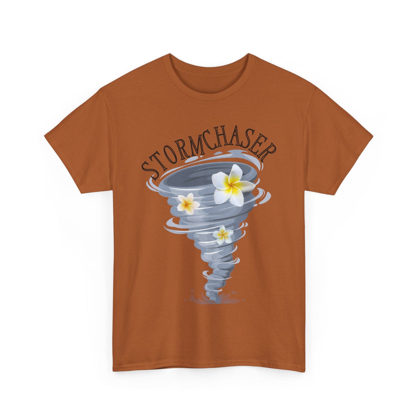 New Mom Storm Chaser Tee - Unisex Heavy Cotton T-Shirt for Expecting Mom, Gift for Baby Shower, One of set of three, Nature Lover Apparel, [...]