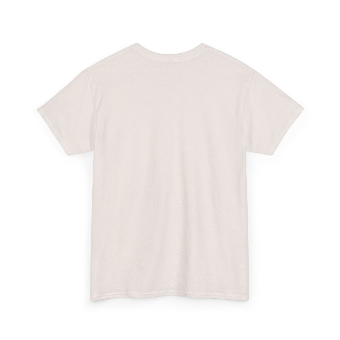 RBT Heavy Cotton Tee, Funny ABA T-Shirt, Gift for RBT or BCBA