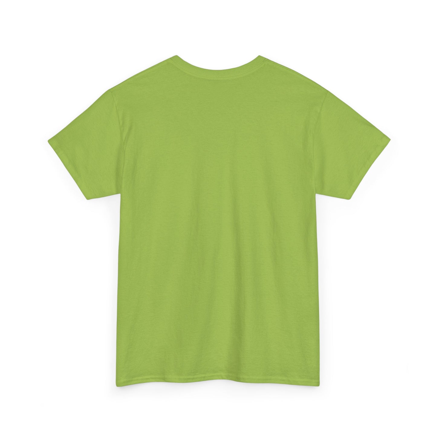 New Mom Storm Chaser Tee - Unisex Heavy Cotton T-Shirt for Expecting Mom, Gift for Baby Shower, One of set of three, Nature Lover Apparel, [...]