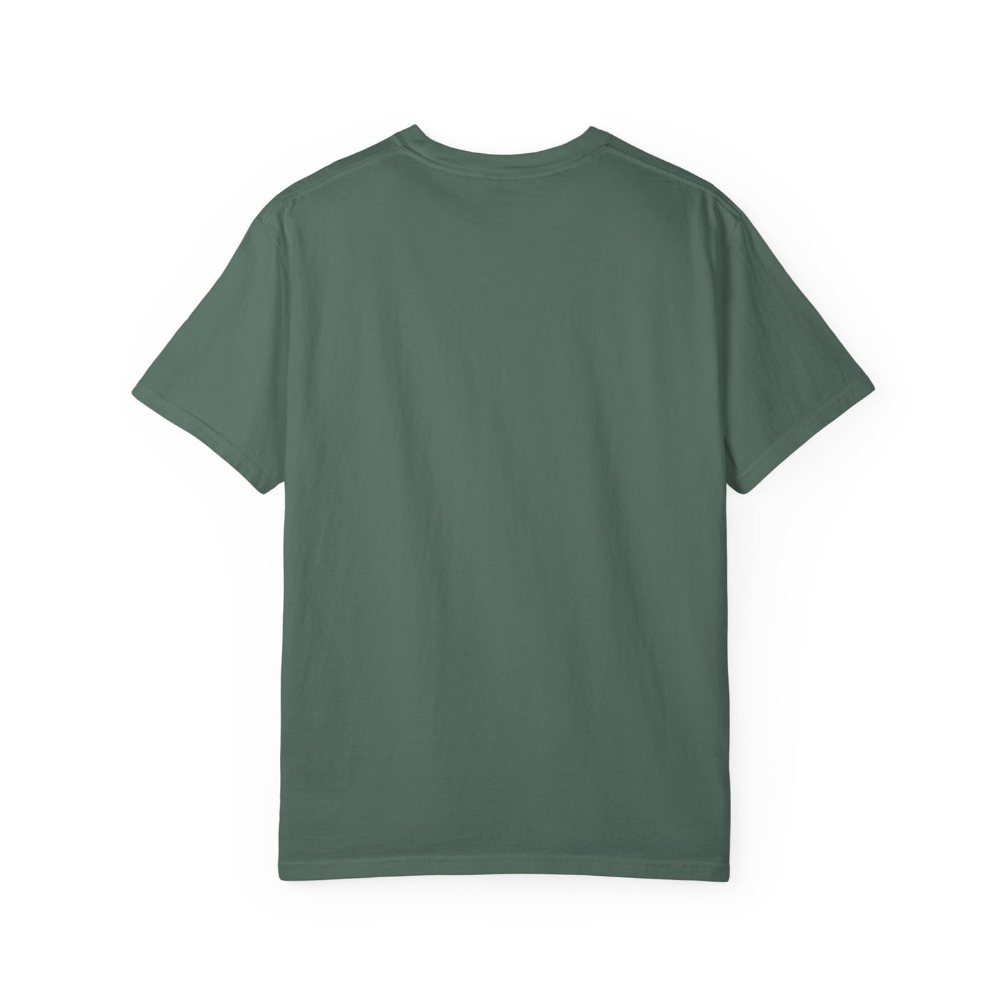 RBT BCBA Comfort Colors T-Shirt with 'All About the Baseline' Design - Casual Wear, Gift for ABA Therapist